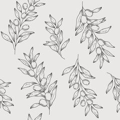 Branch of olive. Trendy pattern with twig in boho style. Flat vector illustration.