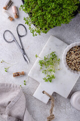 Microgreens sprouts of watercress salad.