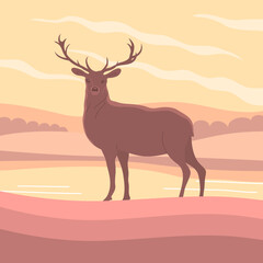 Beautiful red deer with antlers. Forest herbivore animal. Faina and wildlife. Peaceful nature landscape. Calm morning. Rural scener. Flat vector illustration