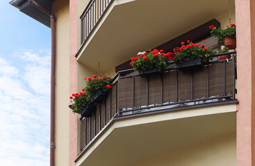 Fototapeta na wymiar Balcony decorated with beautiful red flowers, low angle view