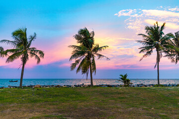 Trois palmiers devant un coucher de soleil sur la mer