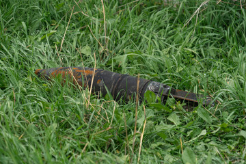 War in Ukraine. 2022 Russian invasion of Ukraine. After the battle. An unexploded tank projectile...