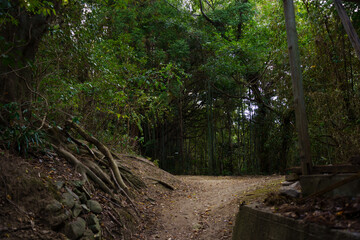 粟島（香川県）城山の登山道