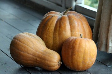 pumpkin on a wooden table