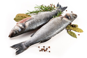Sea bass fish. Two peeled raw sea bass, spices and rosemary branches on a white background