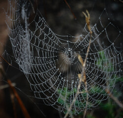 Seas of clouds, lava flows, the Teide of Tenerife in the background and many more spectacular landscapes on the route of the volcanoes (Cumbre Vieja) on the island of La Palma. Canary Islands. Spain
