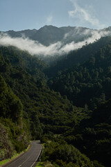 Obraz premium A road trip through the north of the island of La Palma. Canary Islands. Spain