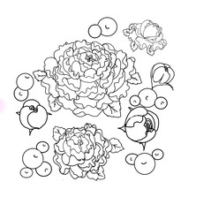 illustration handdraw doodle Bouquet of flower on white background.floral sketch for practicing painting therapy.peonies coloring book.
