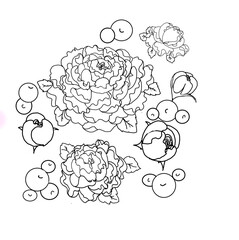 illustration handdraw doodle Bouquet of flower on  transparent background.floral sketch for practicing painting therapy.peonies coloring book.png.
