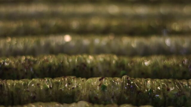 Traditional dessert of baklava in rolls placed in rows in a baking tray ready to be baked