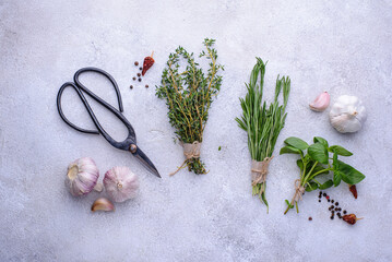 Fototapeta na wymiar Rosemary, thyme and basil. Fresh garden herbs
