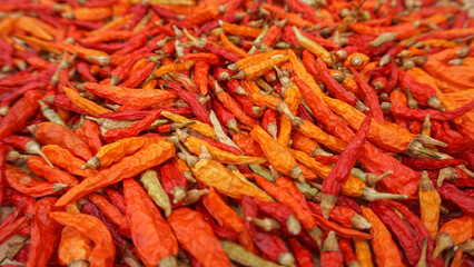 Red Hot Dried Chili for Home Cooking