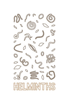 Helminths Parasitic Worms vector concept vertical line illustration