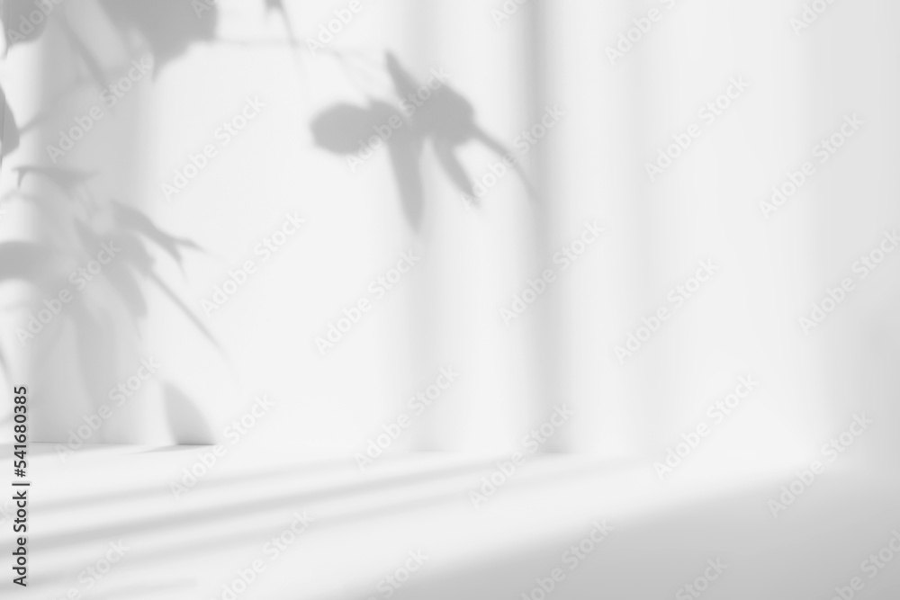 Poster Abstract white studio background for product presentation. Empty room with shadows of leaves. Display product with blurred backdrop.