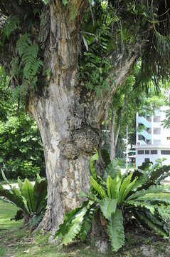 Nature Conservation, sustainability, concept special