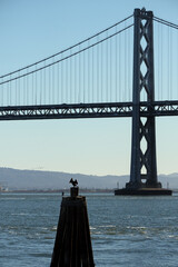 Panoramic scenic aerial view over San Francisco Bay Area with Golden Gate Bridge, downtown skyline...