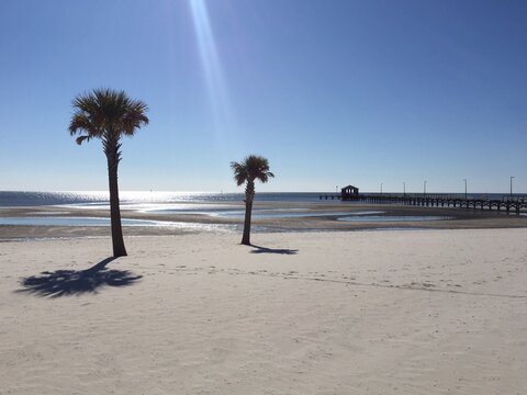 Two palm trees and the pier in the distance, Biloxi, Mississippi, USA