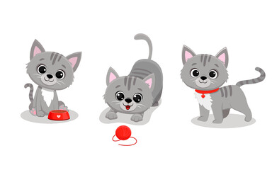 Set of isolated cute cats in different poses in cartoon style.Grey kitten.