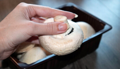 The girl demonstrates a large champignon. Champignons close-up on the table. The concept of farming, growing mushrooms for sale