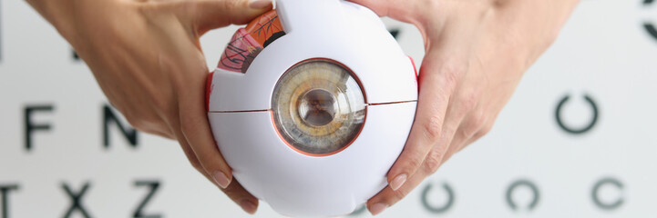 Ophthalmologist doctor holding part of eye model, oculus sample, healthcare