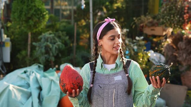 Farmer female seller compares two small pumpkins on camera.