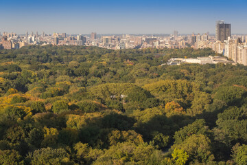 Fototapeta na wymiar Aerial view of the Central park in Manhattan, New York with golf fields and tall skyscrapers surrounding the park. Sunset view.