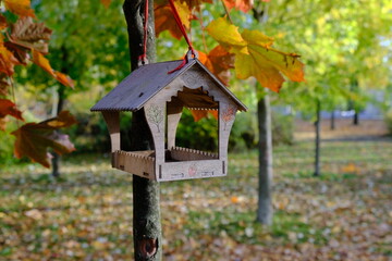 Feeders for birds in the city park