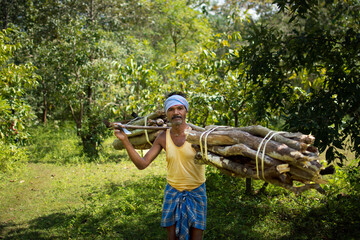 tribal people chattirgrah.tribal man collecting wood from kanger valley forest