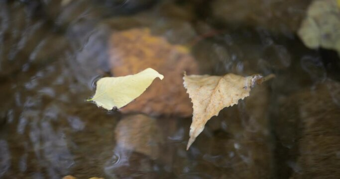 Fiume Autunno