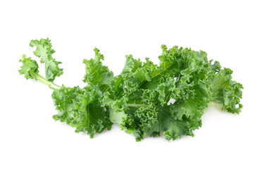 Obraz premium Kale leaf salad vegetable isolated on white background