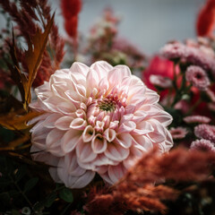 schöne hellrosa einzelne Dahlie in einem romantischen Blumenstrauß, Brautstrauß von einer Floristin