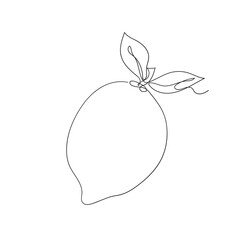 continuous line drawing orange citrus illustration vector isolated