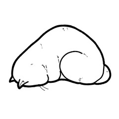 lazy cat