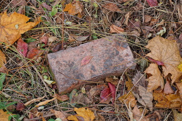 one big of old brown brick lies on the ground among dry fallen leaves in nature