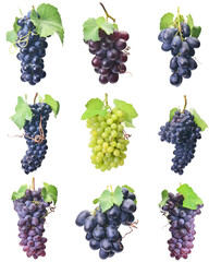 Collection of grapes isolated