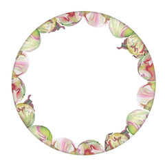 Watercolor circle frame arrangement with hand drawn delicate pink peony flowers, buds and leaves. Isolated on white background. For invitations, wedding, love or greeting cards, paper, print, textile