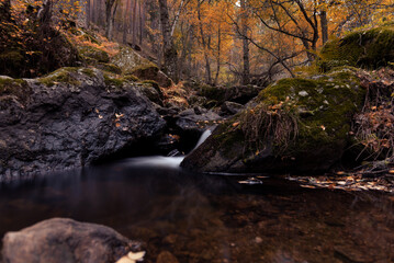 Arroyo del Sestil del Maíllo en Canencia