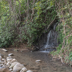 View of the Water-Walking segment of Snir (Hatsbani) Stream, Snir Stream Nature Reserve, kibbutz...