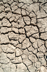 Tierra seca agrietada pantano. Sequía, textura.