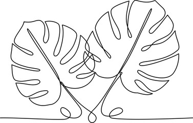 Monstera deliciosa continuous line drawing