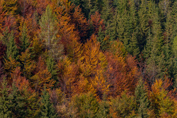 Adlitzgraben - Semmeringer Pass im Herbst