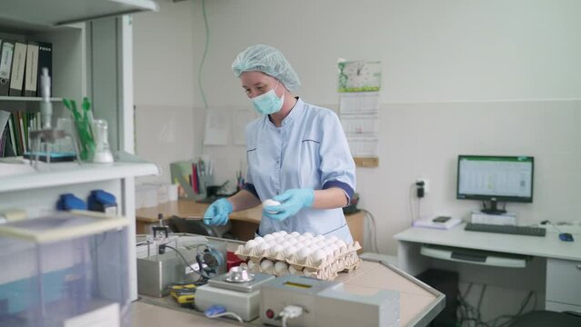 Laboratory worker deals with the organic food quality test analysis process. Testing the quality of the freshly produced organic egg food. Cracking the organic chicken egg to test the quality.