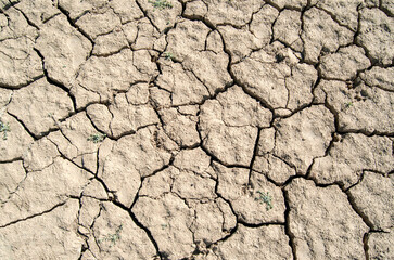 Tierra seca agrietada pantano. Sequía, textura.