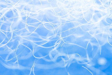 Extreme macro of polyester stable fiber on blue background