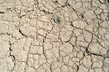 Tierra seca agrietada pantano. Sequía, textura.