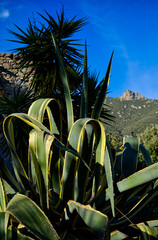 Paysage de Catalogne 