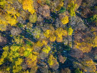 Naklejka premium Kraków Aerial View. Rakowicki Cemetery at Autumn time. Kraków is a the capital of the Lesser Poland Voivodeship. Poland. Europe. 
