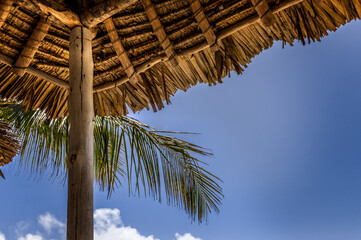 Reed covered cabana roof an a tropical beach