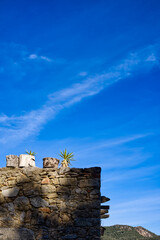 Plantes et ciel de Catalogne 