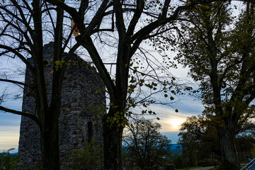 sunset in the park, Laufemburg, Switzerland